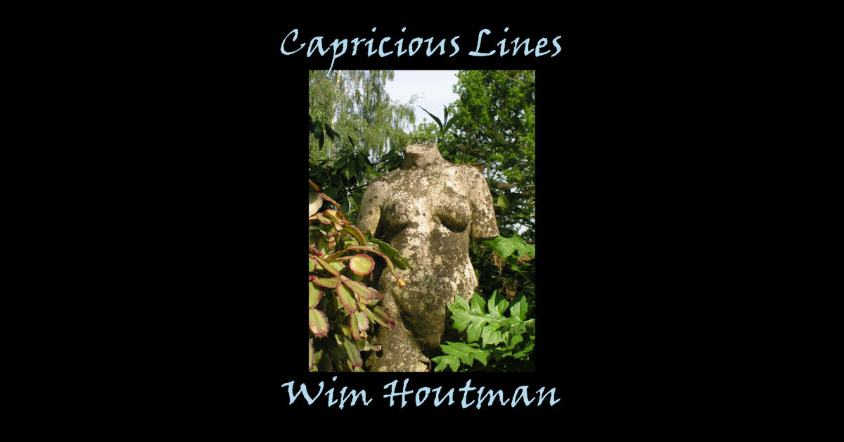 capricious lines van wim houtman capricious lines wim houtman album art